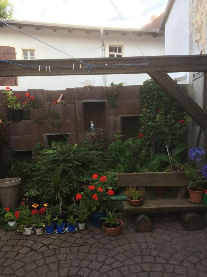 Apartamento Otterbau Belgern-Schildau Exterior foto