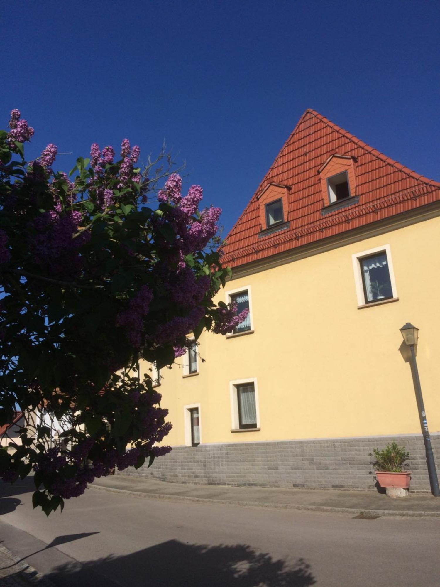 Apartamento Otterbau Belgern-Schildau Exterior foto